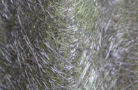 Oultoncross fibreglass roof work